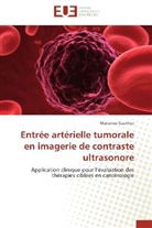Marianne Gauthier, Gauthier-m - Entree arterielle tumorale en