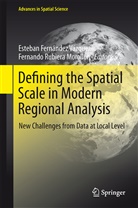 Michiel de Bok, Esteba Fernández Vázquez, Esteban Fernández Vázquez, Francesca Pagliara, Rubiera Morollón, Rubiera Morollón... - Defining the Spatial Scale in Modern Regional Analysis