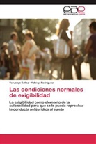 Yuleivy Rodríguez, Yoruany Suñez, Yoruanys Suñez - Las condiciones normales de exigibilidad
