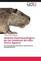 Fernando Carlos Santiago - Análisis Zooarqueológico de los roedores del sitio Cerro Aguará