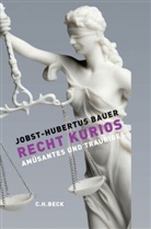Jobst-H Bauer, Jobst-Hubertus Bauer - Recht kurios