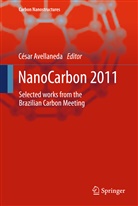 Césa Avellaneda, César Avellaneda - NanoCarbon 2011