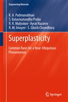 Balasivanandha Prabu, S Balasivanandha Prabu, S. Balasivanandha Prabu, S. Ghosh Chowdhury, R. M. Imayev, Mulyukov... - Superplasticity