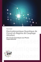 Pierre Nataf, Nataf-p - Electrodynamique quantique de