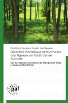 Jules Ngueguim, Pierrot Lionel Nounagno Yemadje, Pierrot Lionel Nounagnon Yemadje - Diversite floristique et biomasse