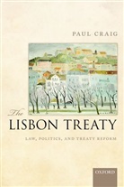 P. P. Craig, Paul Craig, Professor Paul Craig - Lisbon Treaty