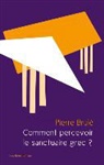 Pierre Brulae, Pierre Brule, Pierre (1943-....) Brulé, BRULE PIERRE, Brule/pierre, Pierre Brulé... - Comment percevoir le sanctuaire grec ? : une analyse sensorielle du paysage sacré