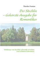 Theodor Fontane - Der Stechlin - Gekürzte Ausgabe für Romantiker