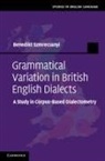 Benedikt Szmrecsanyi, Benedikt (Professor of Linguistics Szmrecsanyi, Szmrecsanyi Benedikt - Grammatical Variation in British English Dialects