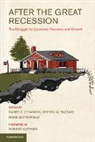 Barry Z Cynamon, Barry Z. Cynamon, Barry Z. (Washington University Cynamon, Barry Z. Fazzari Cynamon, CYNAMON BARRY Z FAZZARI STEVEN, Barry Z Cynamon... - After the Great Recession