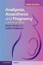 Harry Hearder, Steve Malhotra Jentis, Surbhi Malhotra, Dr. Steve Yentis, Dr. Steve Malhotra Yentis, Steve Yentis... - Analgesia, Anaesthesia and Pregnancy
