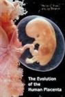 Michael L. Power, Michael Power, Michael L Power, Michael L. Power, Michael L. (Senior Research Associate Power, Michael L. Schulkin Power... - Evolution of the Human Placenta