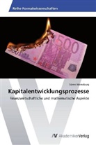 Sören Werneburg - Kapitalentwicklungsprozesse