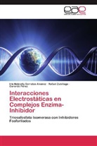 Gerardo Pérez, Iris Natziell Serratos Alvarez, Iris Natzielly Serratos Alvarez, Rafael Zubillaga - Interacciones Electrostáticas en Complejos Enzima-Inhibidor