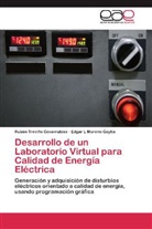 Edgar L Moreno Goytia, Rubé Treviño Covarrubias, Rubén Treviño Covarrubias - Desarrollo de un Laboratorio Virtual para Calidad de Energía Eléctrica