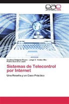 Gustav Delgado Reyes, Gustavo Delgado Reyes, Guevara, Pedro Guevara López, Jorge Valdez Mtz, Jorge S Valdez Mtz... - Sistemas de Telecontrol por Internet