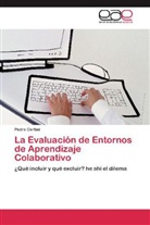 Pedro Certad - La Evaluación de Entornos de Aprendizaje Colaborativo