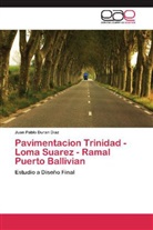Juan Pablo Duran Diaz - Pavimentacion Trinidad - Loma Suarez - Ramal Puerto Ballivian
