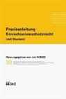 Kurt Affolter, Yvo Biderbost, Christoph Häfeli, Ernst Langenegger, Philippe Meier, Daniel Rosch... - Praxisanleitung Erwachsenenschutzrecht (mit Mustern)