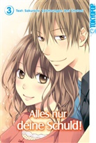 Ami Chatani, Sakurairo - Alles nur deine Schuld!. Bd.3
