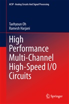 Ramesh Harjani, Taehyou Oh, Taehyoun Oh - High Performance Multi-Channel High-Speed I/O Circuits