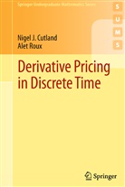 Nigel Cutland, Nigel J Cutland, Nigel J. Cutland, Alet Roux - Derivative Pricing in Discrete Time