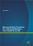 Lukas Hechl - Bilanzrechtliche Probleme des Jahresabschlusses einer GmbH & Co KG