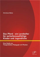 Christiane Bütow - Das Pferd - ein Lernhelfer für verhaltensauffällige Kinder und Jugendliche
