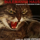 Theodor Storm, Achim Höppner, Jan Koester, Jan Koester, Ernie Wilhelmi - Bulemanns Haus, 1 Audio-CD (Hörbuch)