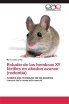 Maria Isabel Ortiz - Estudio de las hembras XY fértiles en akodon azarae (rodentia)