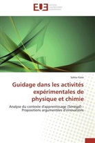 Saliou Kane, Kane-s - Guidage dans les activites