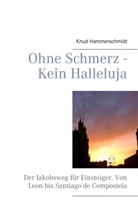 Knud Hammerschmidt - Ohne Schmerz - Kein Halleluja