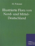 H Potonie, H. Potonie, H. Potonié - Illustrierte Flora von Nord- und Mittel-Deutschland