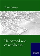 Erwin Debries - Hollywood wie es wirklich ist
