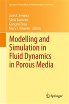 S. Lvia Barbeiro, Sílvi Barbeiro, Silvia Barbeiro, Sílvia Barbeiro, Jos a. Ferreira, José A. Ferreira... - Modelling and Simulation in Fluid Dynamics in Porous Media