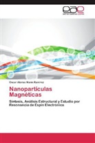 Oscar Alonso Marín Ramírez - Nanopartículas Magnéticas