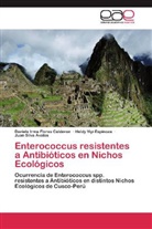 Heldy Yiyi Espinoza, Dariela Irm Flores Calderon, Dariela Irma Flores Calderon, Juan Silva Avalos - Enterococcus resistentes a Antibióticos en Nichos Ecológicos