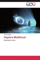 Carlos Lizama - Algebra Multilineal
