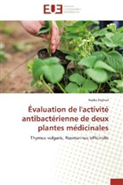 Nadia Zeghad, Zeghad-N - Evaluation de l activite