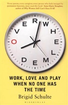 Brigid Schulte, Schulte Brigid - Overwhelmed