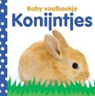Dawn Sirett - Konijntjes
