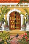 David James, David (University of Nottingham) James - Not So Model Home