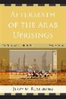 Jerry M Rosenberg, Jerry M. Rosenberg, Jerry Martin Rosenberg, Rosenberg Jerry M. - Aftermath of the Arab Uprisings