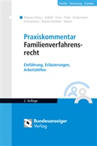 Raine Balloff, Rainer Balloff, Rüdige Ernst, Rüdiger Ernst, Fritz Finke, Fritz u a Finke... - Das Familienverfahrensrecht - FamFG, Kommentar
