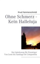 Knud Hammerschmidt - Ohne Schmerz - Kein Halleluja