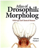 Sylwester Chyb, Chyb Sylwester, Nicolas Gompel, Gompel Nicolas - Atlas of Drosophila Morphology