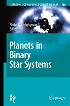 Nade Haghighipour, Nader Haghighipour - Planets in Binary Star Systems