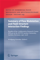 Wolfgan Schröder, Wolfgang Schröder - Summary of Flow Modulation and Fluid-Structure Interaction Findings