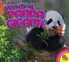 Steve Macleod - Yo Soy el Panda Gigante, With Code