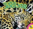 Steve Macleod - Yo Soy El Jaguar, with Code